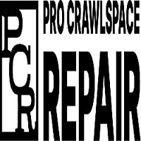 Pro Crawlspace Repair