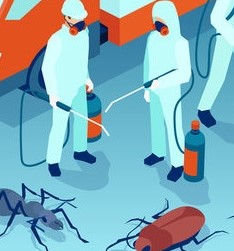 Cassini Pest Control
