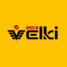 Velki agent service